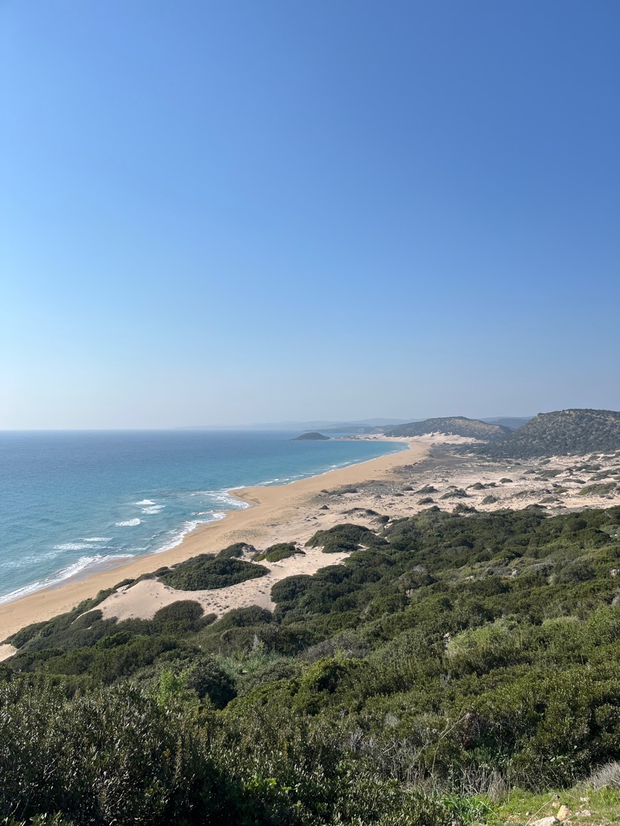 Piaszczysta plaża i błękitne morze na Golden Beach