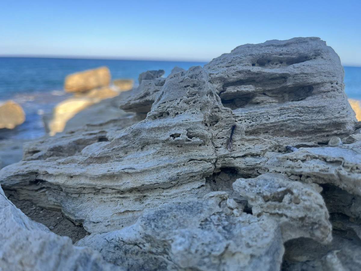 Ukryta kamienista plaża w Larnace